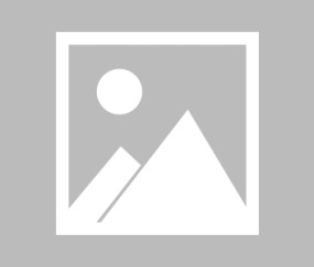 包含今晨足总杯焦点战，底特律活塞官宣签约，球迷炸锅，球探报告显示潜力的词条-开云在线入口